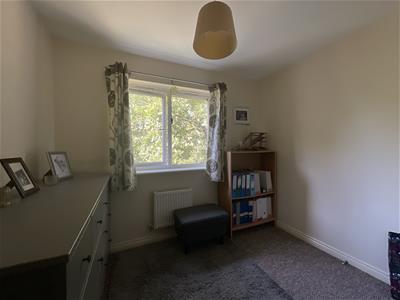 Picture 25